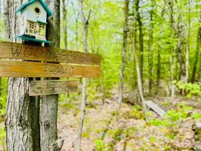 Woodpecker Spa and peace - Image 4