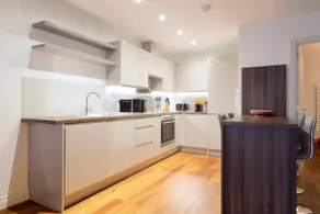 Modern and large oasis flat in Camden with patio - Image 3