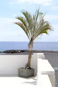 Rooftop Dreamhouse - 3BR with Seaviews - Image 2