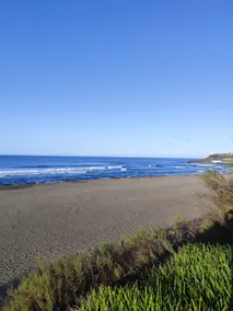 Casa verde - Image 3
