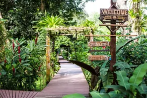 Jungle Escape | Snorkeling. Restaurant - Image 3