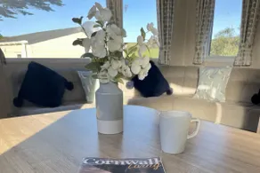 Newquay Bay Resort pet friendly sleeps 6 WiFi - Image 4