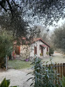 House of the olive grove - Image 3