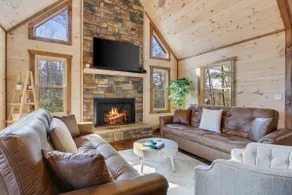 Outdoor Fireplace TV Hot Tub Pool Table Arcade - Image 3