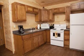 2 BR Hot Tub Cabin- Shawnee National Forest - Image 3