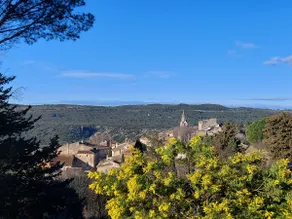 New, Avignon. House, heated pool and view - Image 2