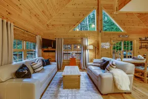Child-friendly 3BR Adirondacks | Fireplace - Image 3