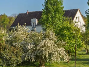 Ideal family holiday home with private pool - Image 3