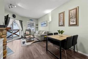 Central Village Condo Dog Friendly - Image 3