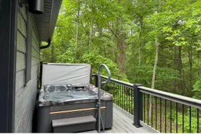 Modern 2BR Cabin w/ Hot Tub Near Carbondale - Image 2