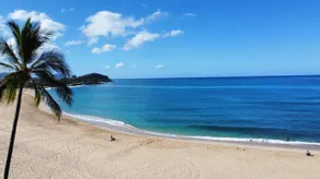Kalo Homes - Mauka to Makai - Image 2