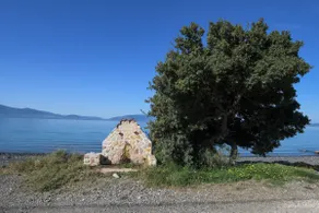 Nerotrivia Villa - Ocean Panorama and Lush Gardens - Image 5