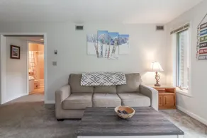 Ski Haven: 1-Bed Ski-in/out Condo, Okemo Base Area - Image 3