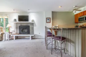 Ski Haven: 1-Bed Ski-in/out Condo, Okemo Base Area - Image 5