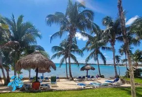 New! Beachfront 2/2 Condo w/ Great Pool! - Image 4