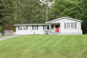 Peace and Pinecones Cottage by Buffalo Mtn Getaway - Image 2