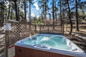 Lofty Pines Cabin - Image 3
