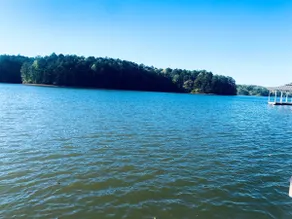 Pinewood Lake Wedowee Retreat - Image 5