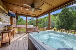 Near Blackberry Farms| Fire Pit | Hot Tub | Pets - Image 2