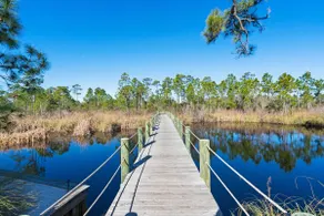 Parks Edge 25 by Liquid Life - Image 5