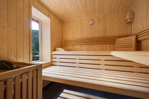 Bergmann Holiday Home with Sauna - Image 2