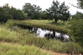 3 Secluded Homes with Pool, Hot Tub, Pond, BBQs - Image 4