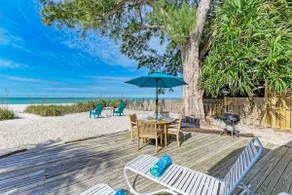 Fins to the Right: On the Gulf of Mexico! Beach! - Image 5