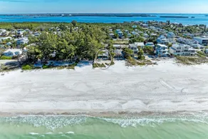 Fins to the Right: On the Gulf of Mexico! Beach! - Image 2