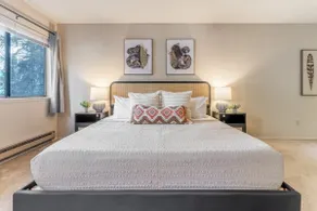 Tranquil Apt 2 King Suites Pet Friendly near DT Bellevue - Image 3