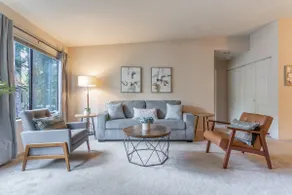 Tranquil Apt 2 King Suites Pet Friendly near DT Bellevue - Image 4