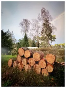 The House Stiller Grund - Image 2