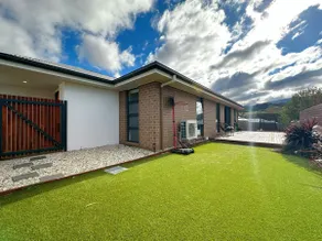 New Kingston Trampoline House - Image 2