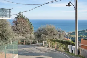 Taggiasca olives - Image 4
