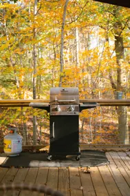 Hocking Hills Cozy Cabin with Fire Pit - Image 4