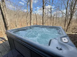 Secluded hilltop cabin w/hot tub - Image 3