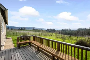 Picturesque Vineyard and Valley Views, Quiet and - Image 3