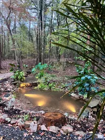 Haven in the woods w/plunge pool & outdoor shower - Image 2