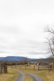 Private Valley Lane | Blue Ridge Mountain Views - Image 2