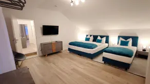 Homely Stay - Urban Oasis Apartment 9 - Image 2