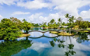 Hilo Lagoon Centre 814 2 King BR 2BA AC Ocean View - Image 2