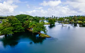Hilo Lagoon Centre 814 2 King BR 2BA AC Ocean View - Image 5