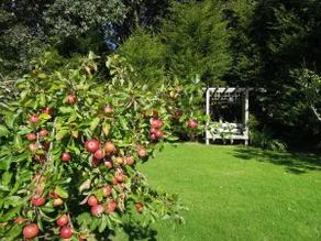 The Cider Barn - Image 2