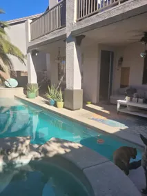 Private Casita with hottub/pool 10 min to strip - Image 4