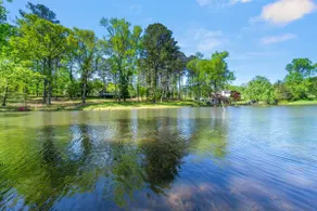 12-Acre Oasis: Haven Lakefront Sanctuary near ATL - Image 3