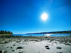 Beachfront Cottage with Fire Pit in Watering Cove - Image 3