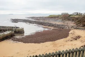 Harbour View Apartment - Crail - Image 4