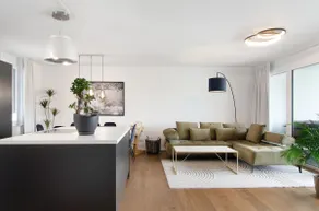 New apartment by Lake Salem - Image 2