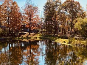 Mighty Oak by Athens & Towanda - Image 4
