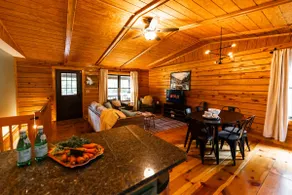 Secluded 10 Acre Cabin | Hot Tub | Firepit | Pets - Image 5