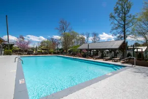 Lakeview Tiny Home with Pool & Bocce Court - Image 5